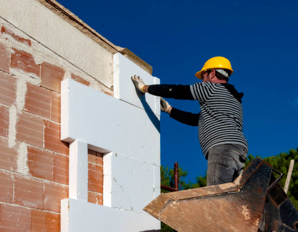 Best Insulation Inspection Services  in Oran, MO