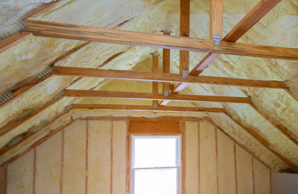 Best Insulation Repair Services  in Oran, MO