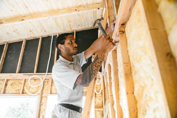 Best Fiberglass Insulation  in Oran, MO