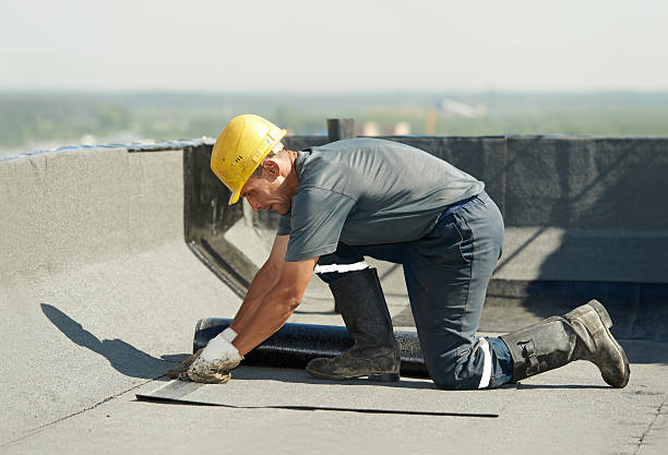 Best Attic Insulation Installation  in Oran, MO