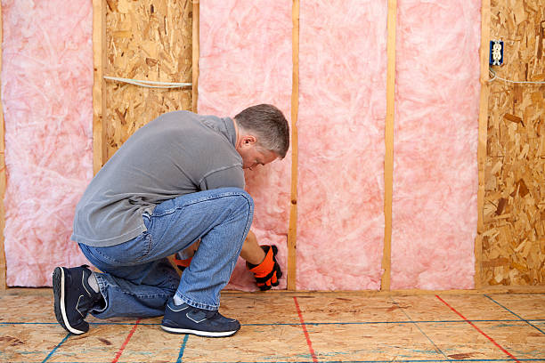 Best Commercial Insulation Contractor  in Oran, MO