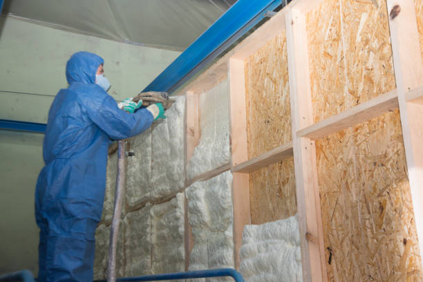 Best Residential Insulation Services  in Oran, MO