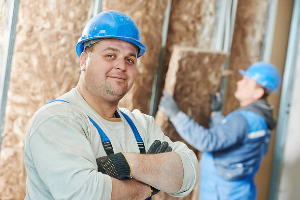 Insulation Inspection Services in Oran, MO